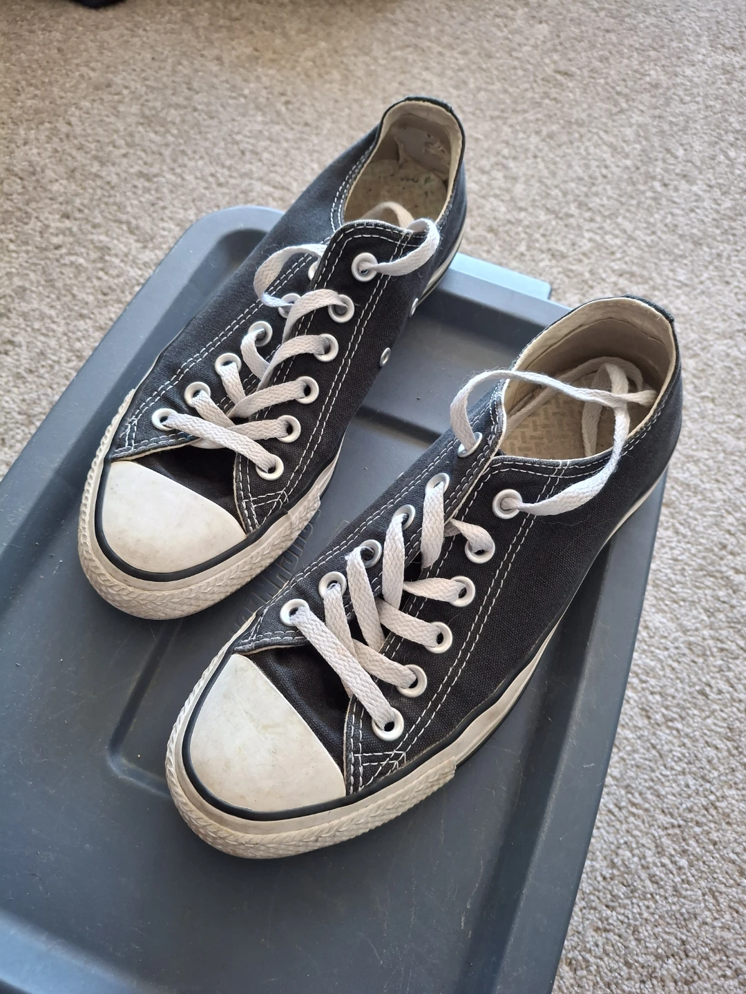 Converse Chuck Taylor All Star Low Top Shoes