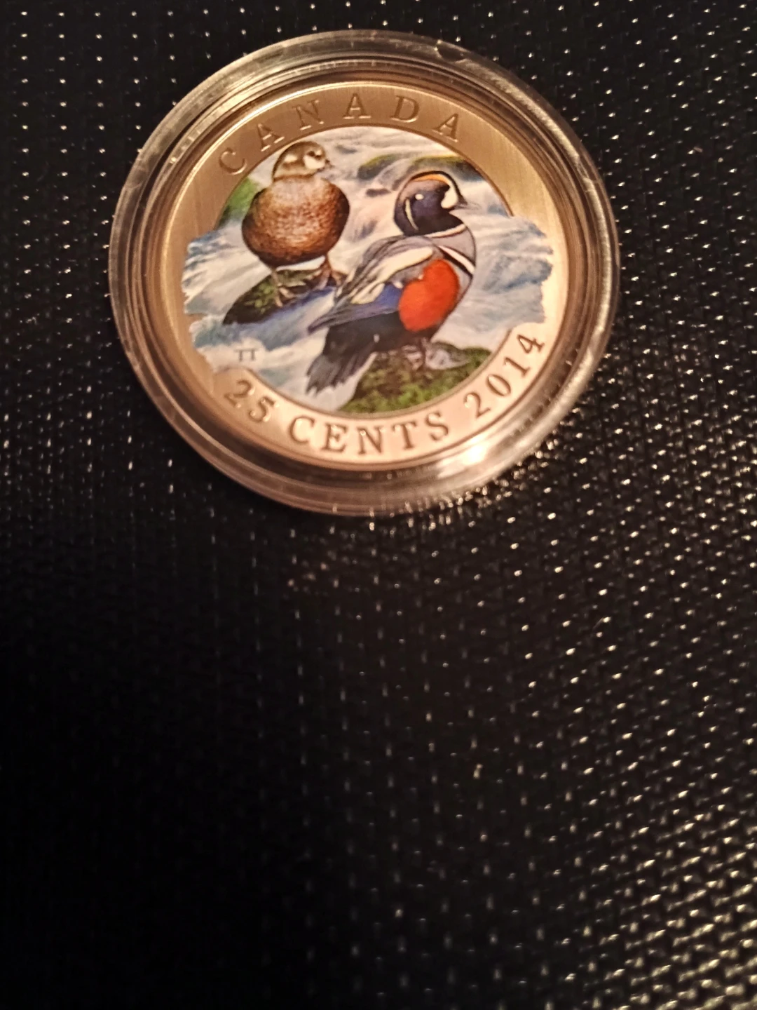 2014 Royal Canadian Mint 25-Cent Coloured Coin - Harlequin Duck - photo 4