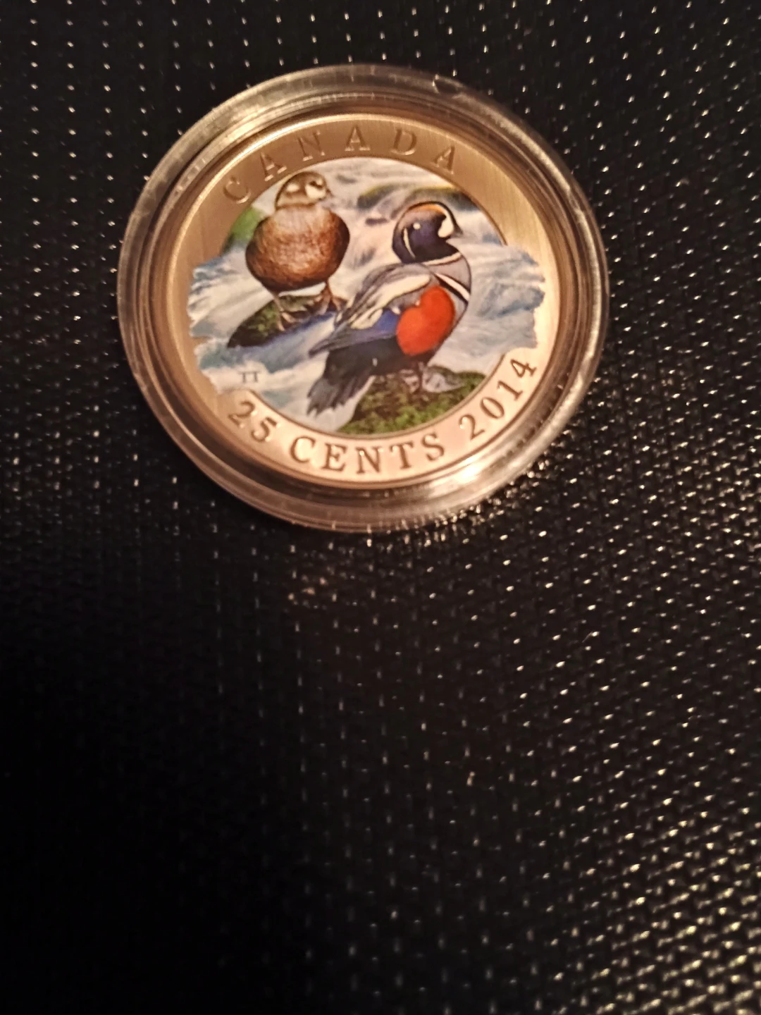 2014 Royal Canadian Mint 25-Cent Coloured Coin - Harlequin Duck - photo 5