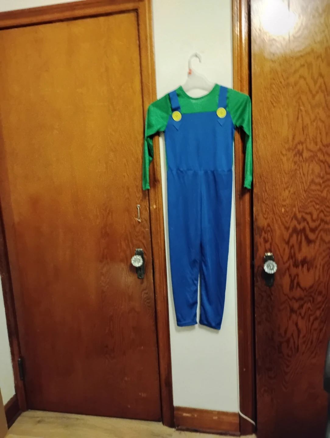 Kids Luigi Costume Jumpsuit - photo 4