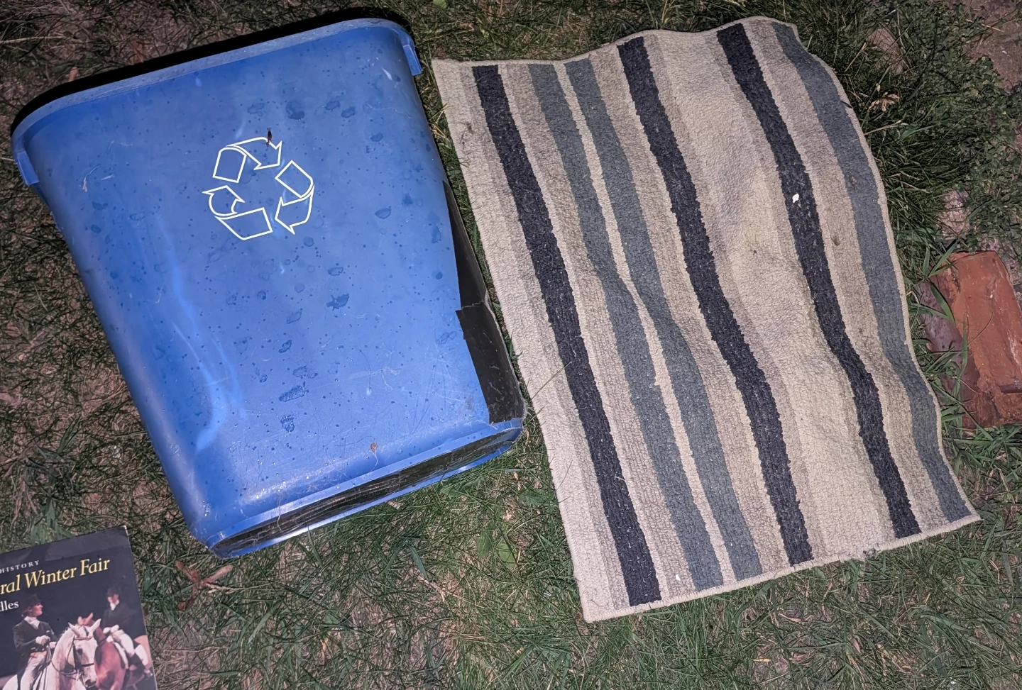 Striped Accent Rug - photo 2
