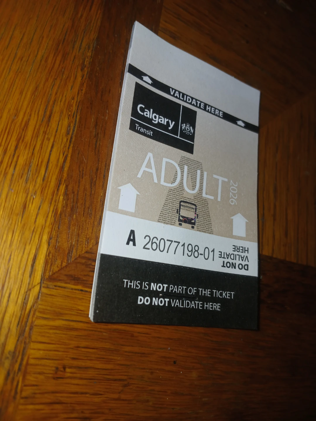 Adult Bus Ticket Book (10) - photo 2