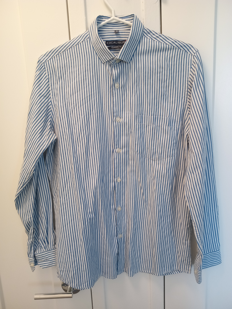Excalibur Classic Fit Striped Dress Shirt