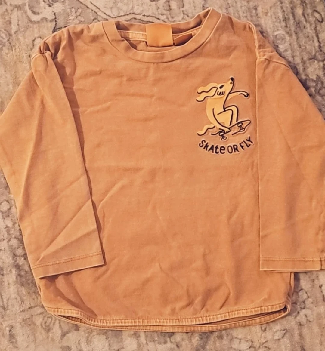 Zara Kids bundle Crewneck Sweatshirts/pants and tshirts. - photo 5