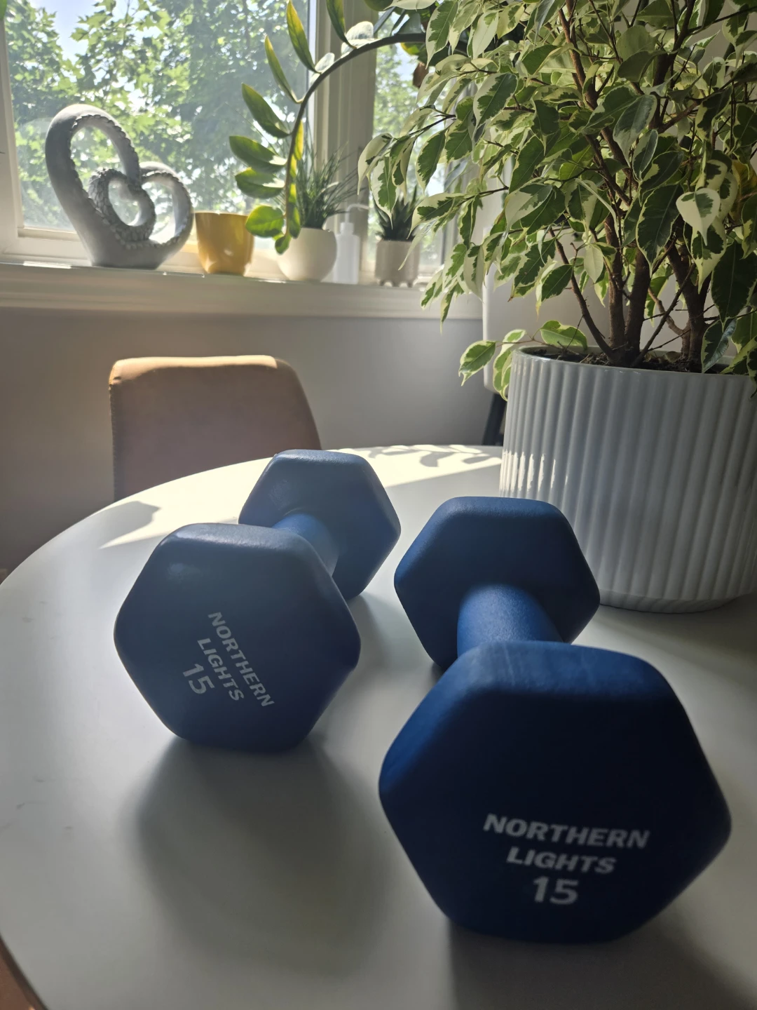 15lbs weights