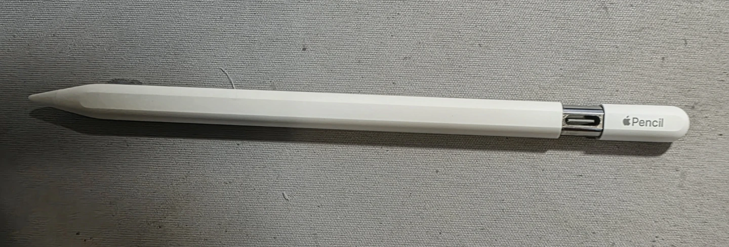 Apple Pencil (USB-C) - photo 5