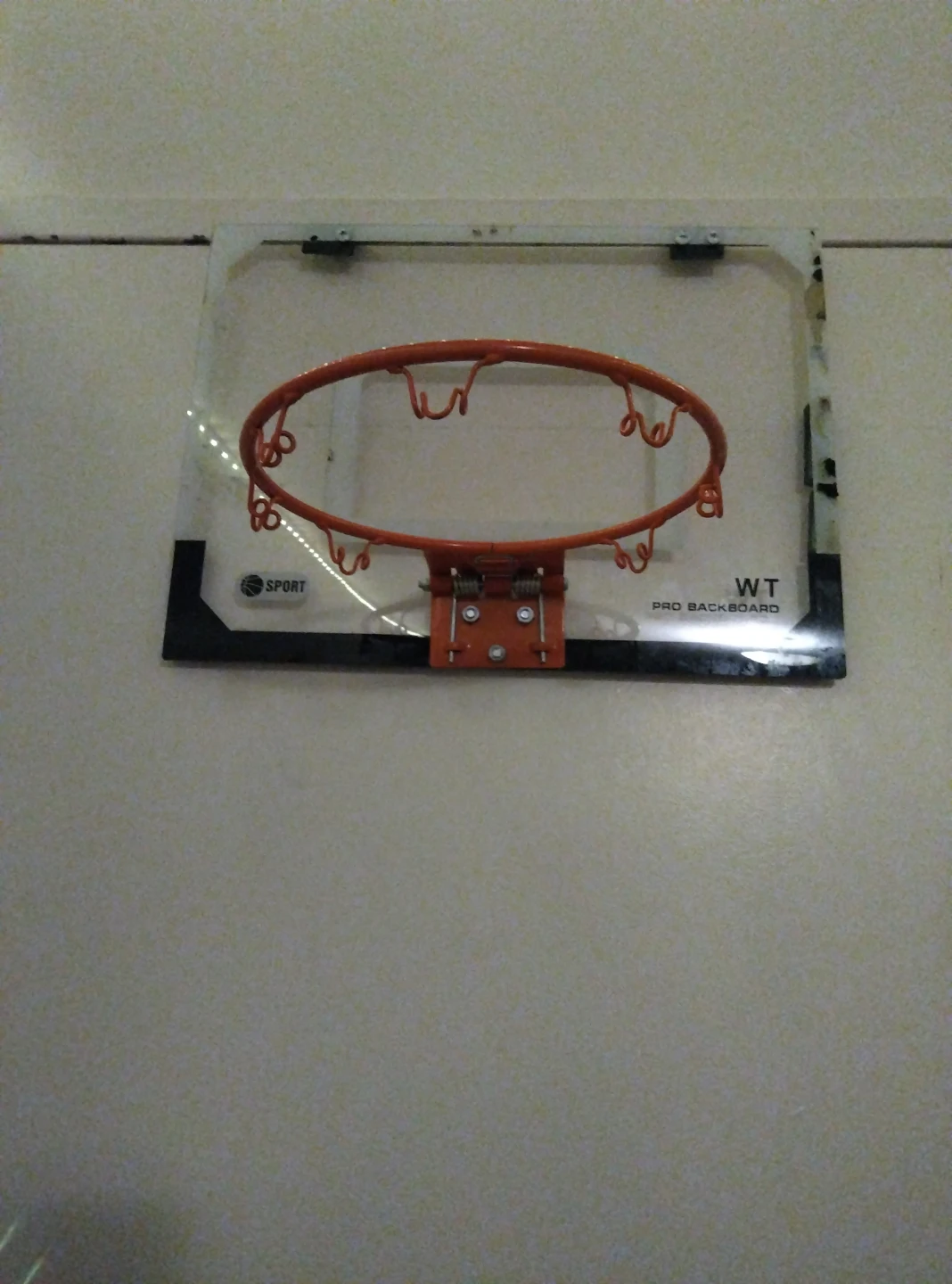 WT Pro Backboard Basketball Hoop