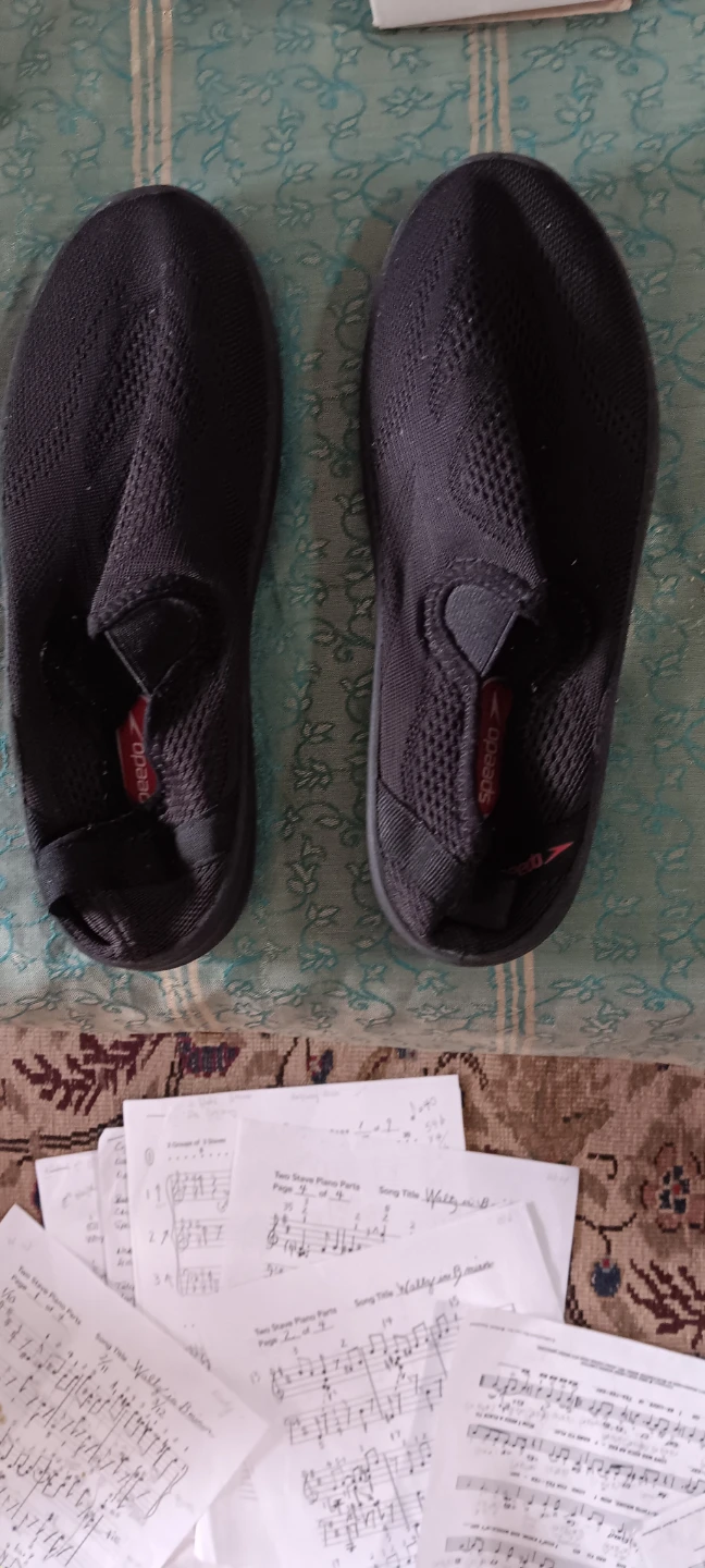 Speedo Water Shoes