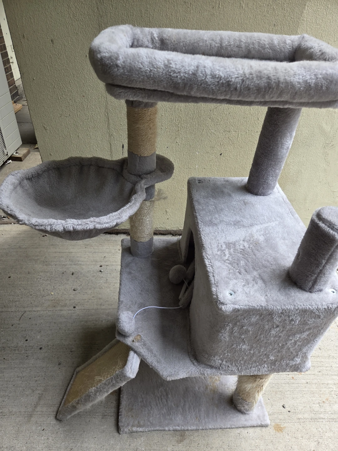 Kitten climbing