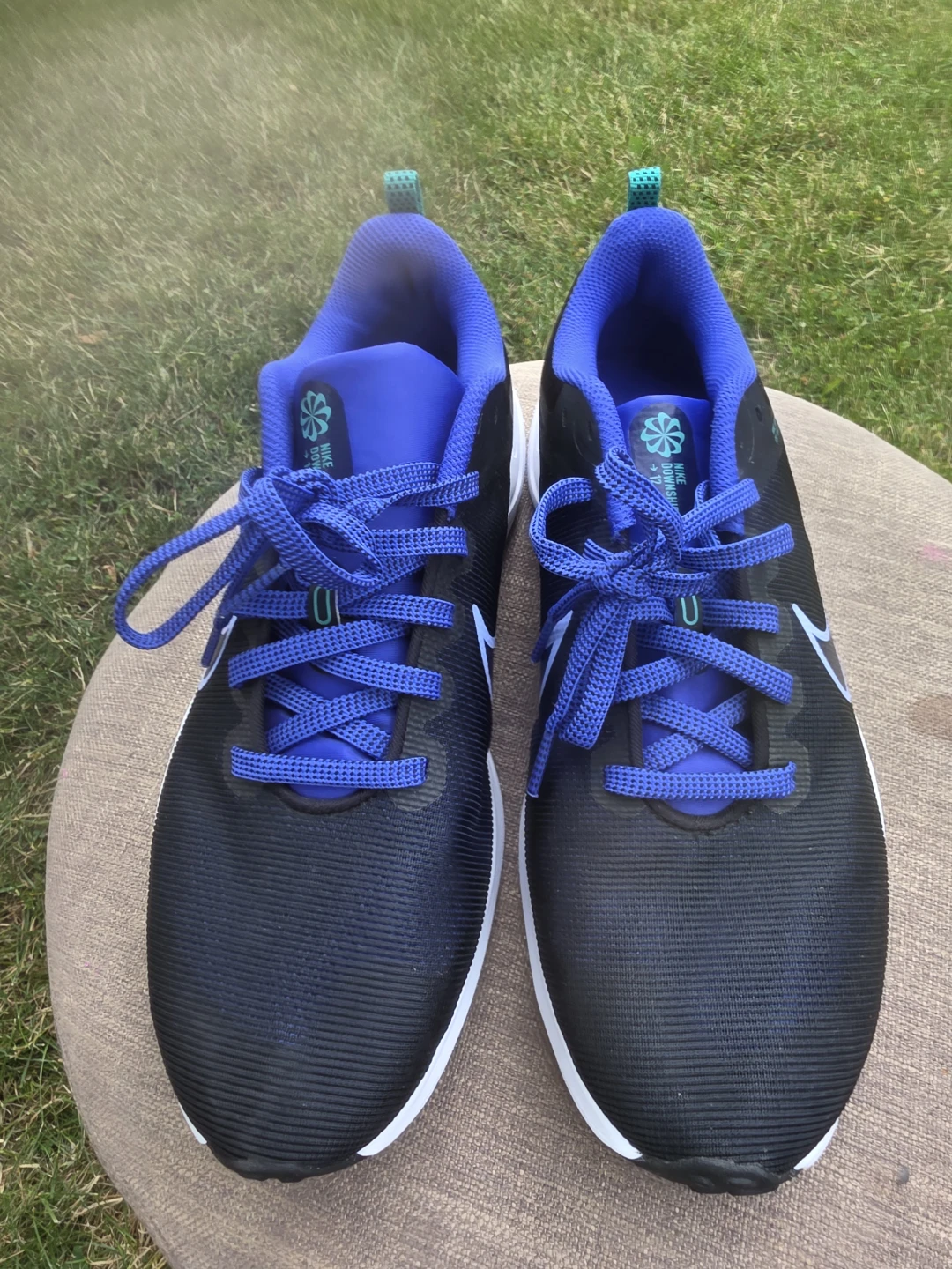 Nike Downshifter 12 Running Shoes