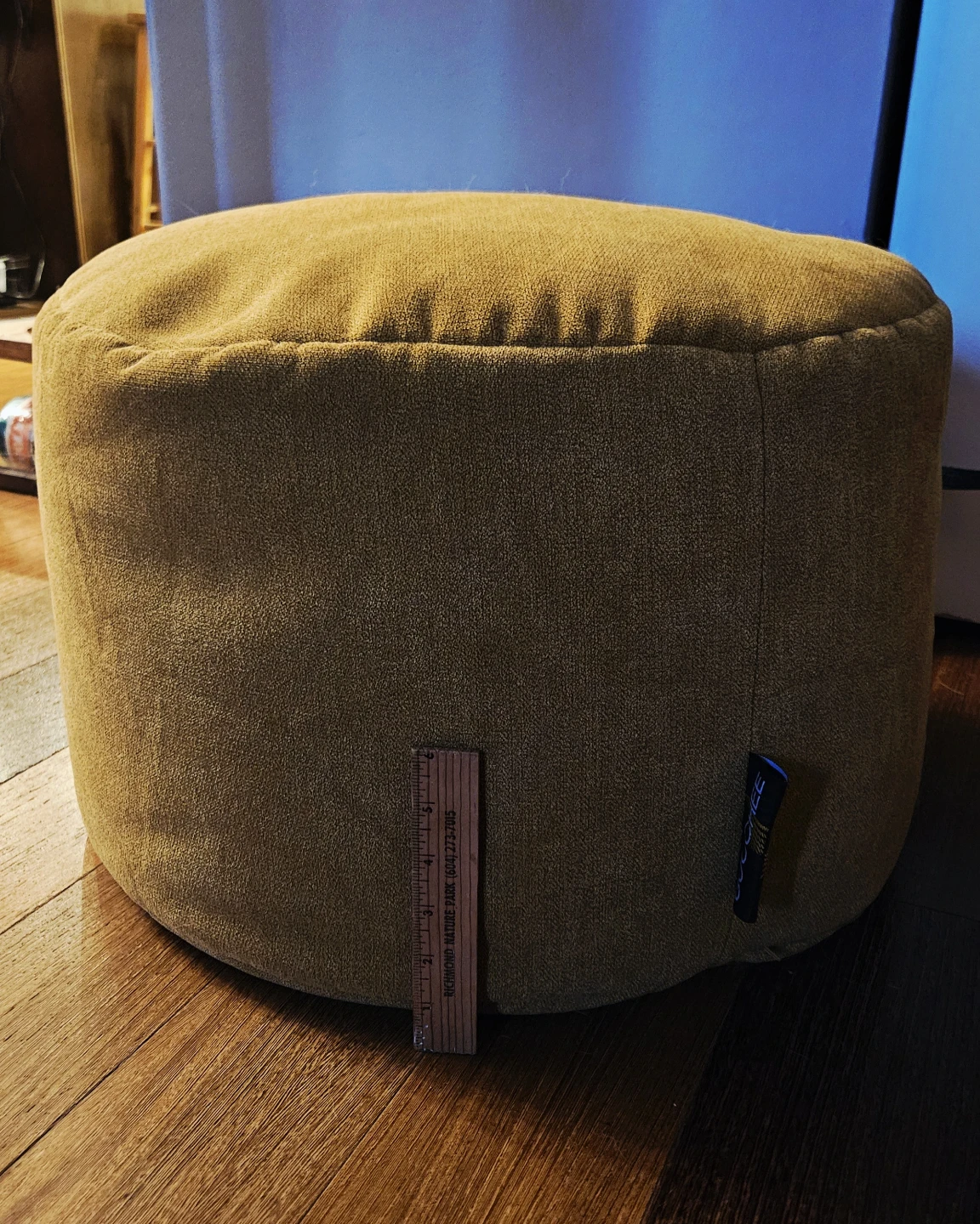 Bean Bag Pouf