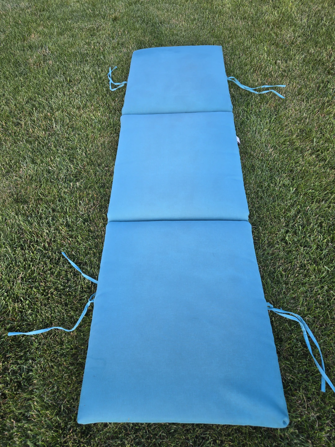 Blue Padded Chaise Lounge Cushion - photo 2