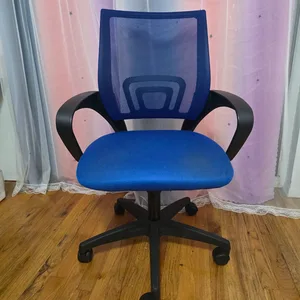 Blue Mesh Office Chair