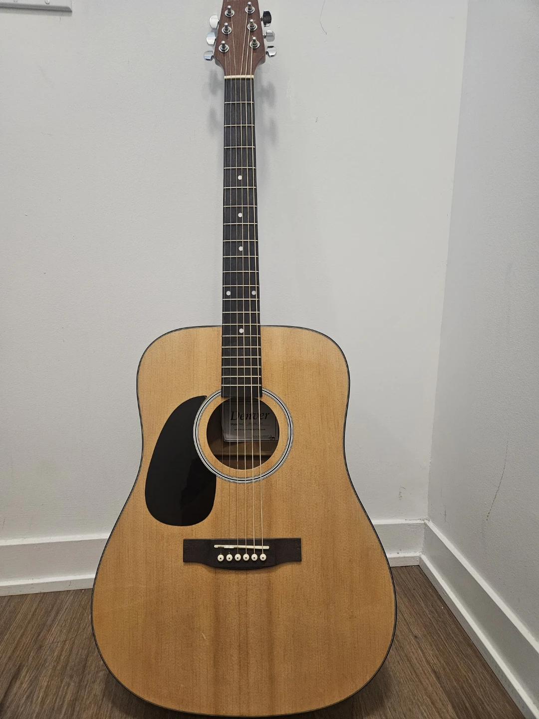 Denver Acoustic Guitar with Gig Bag