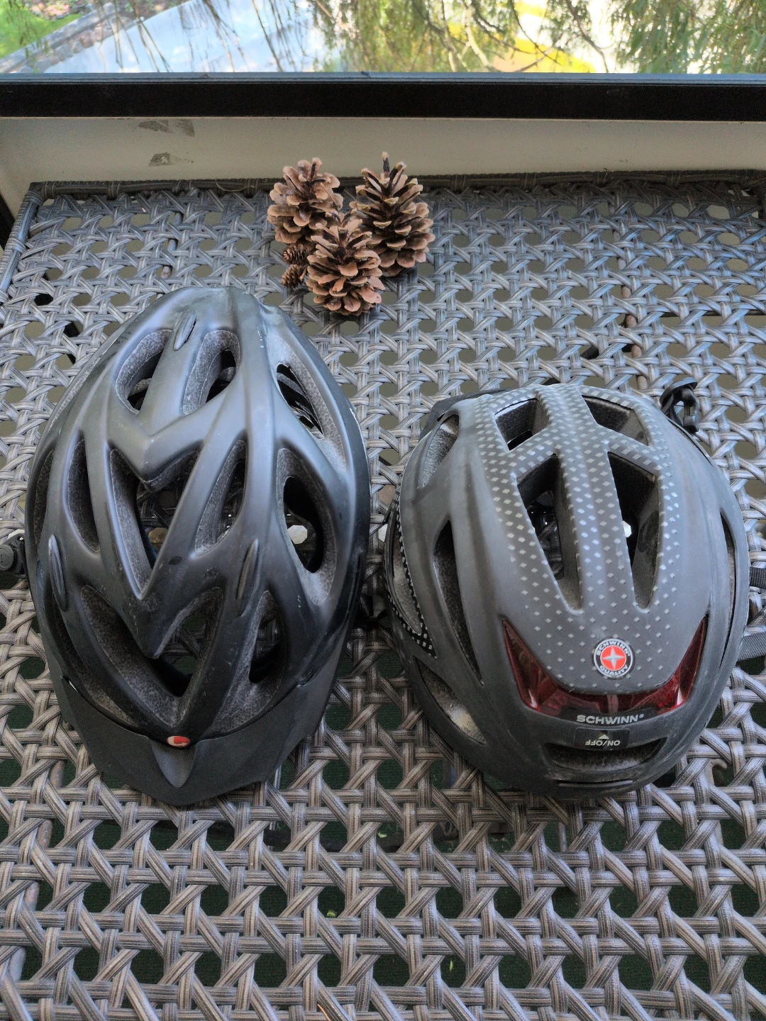 Two Bike Helmets - Black and Schwinn - photo 2