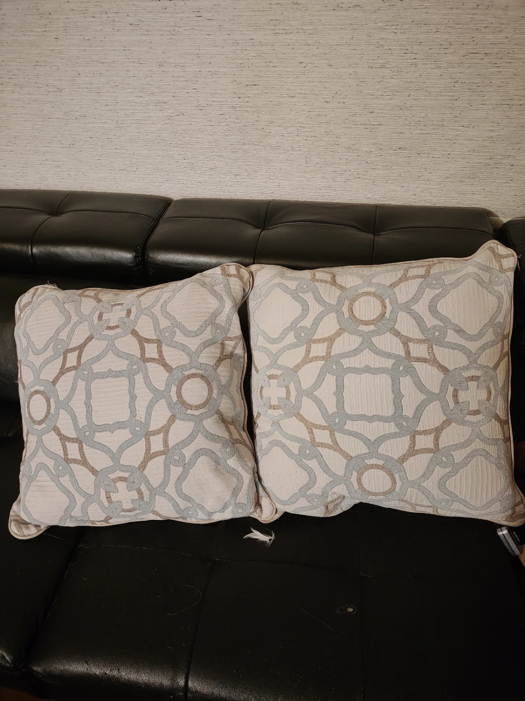 2 Decorative Throw Pillows