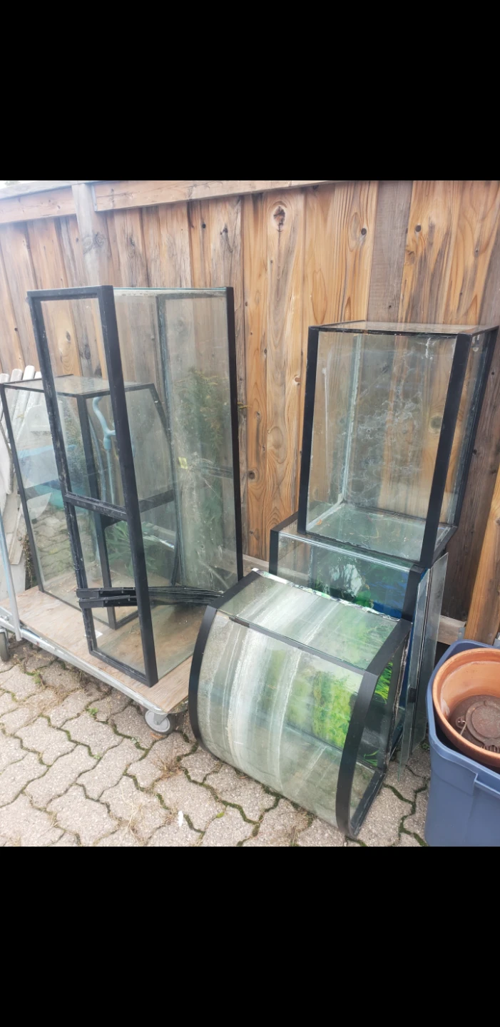 Assorted Glass Terrariums and Aquariums