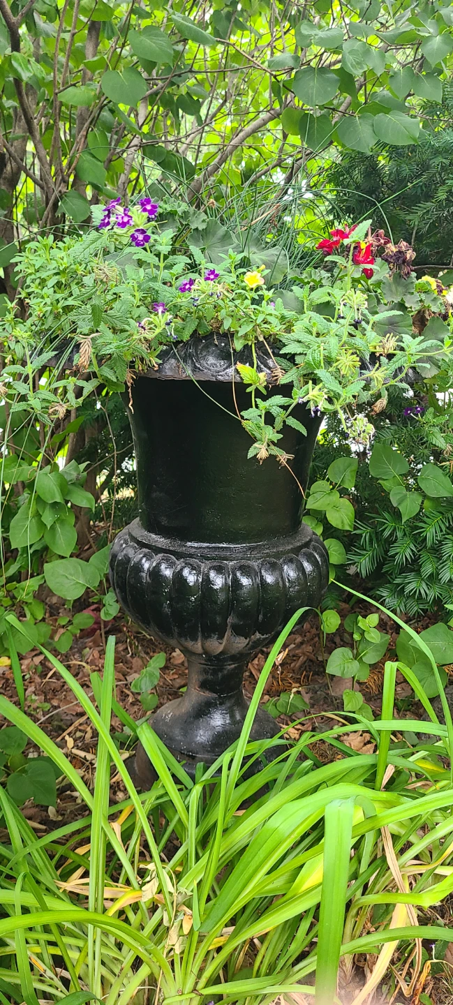 Extra Large Cast Iron Planter Urn with Plants