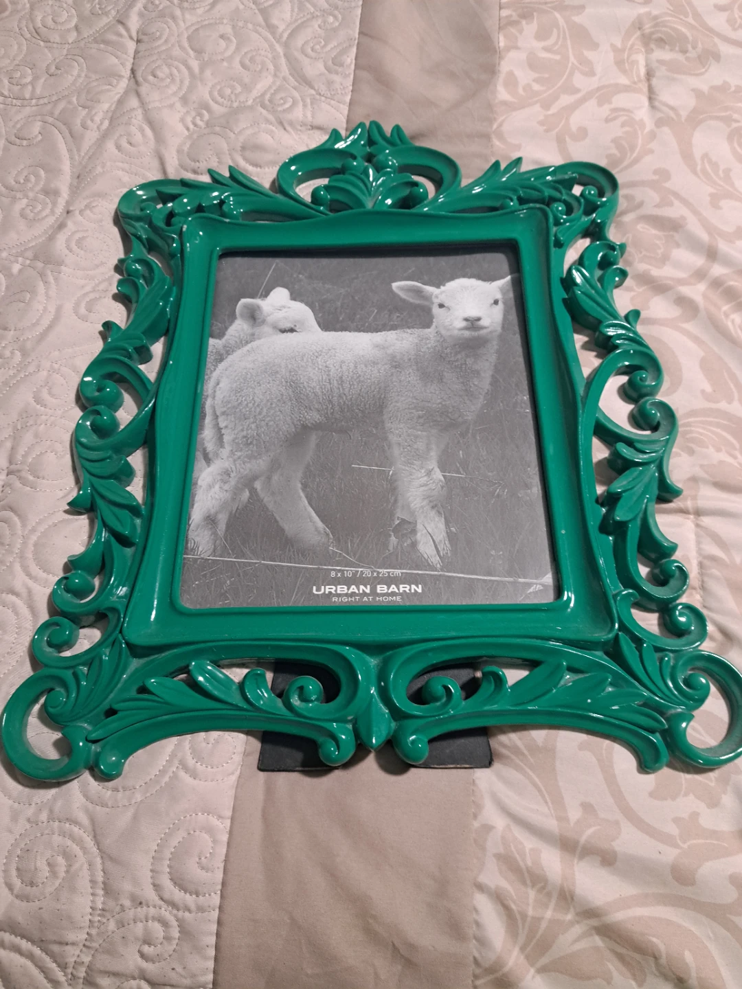 Urban Barn ornate photo frames (2) - photo 2