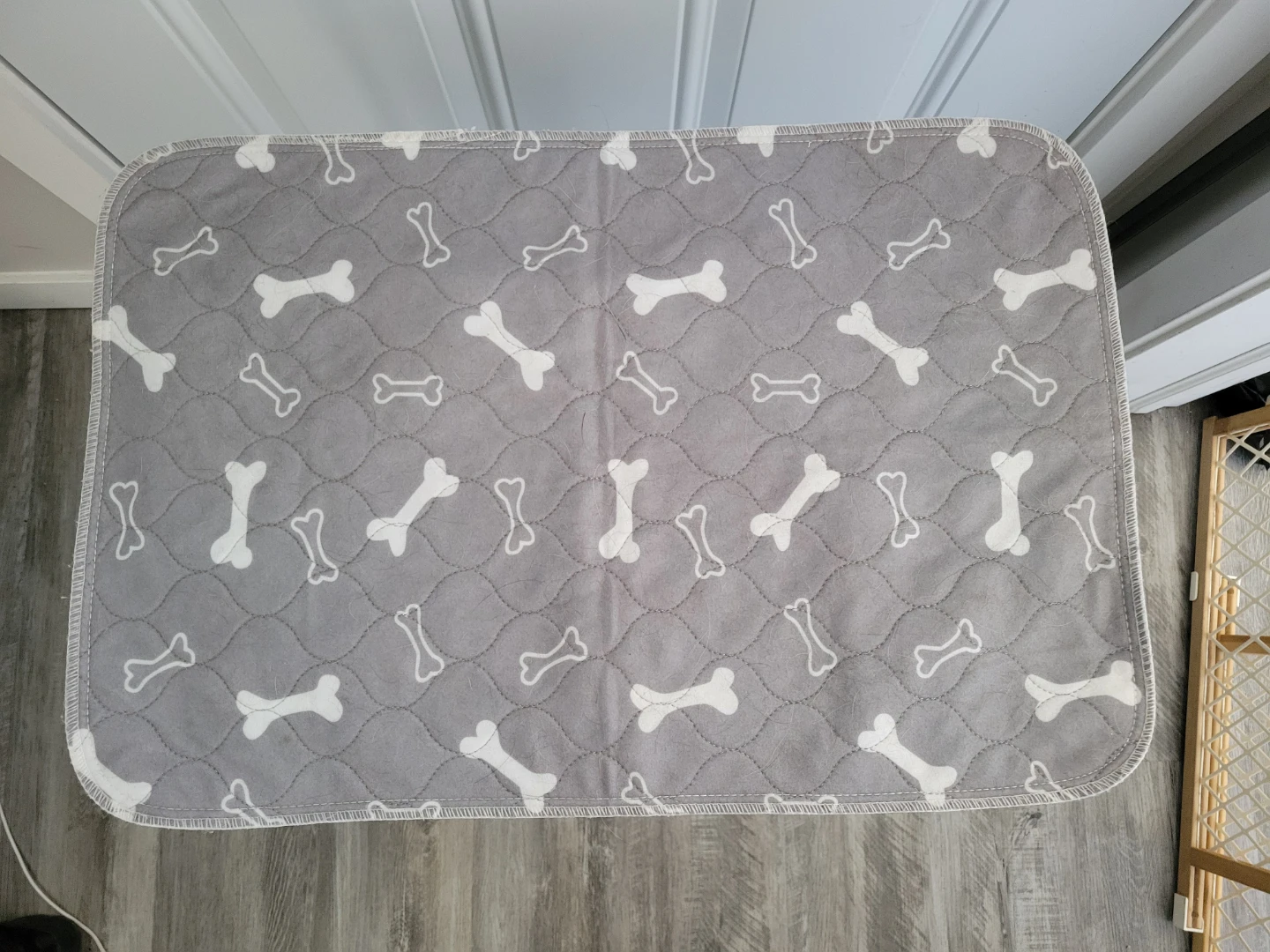 Reusable Puppy Pee Pad