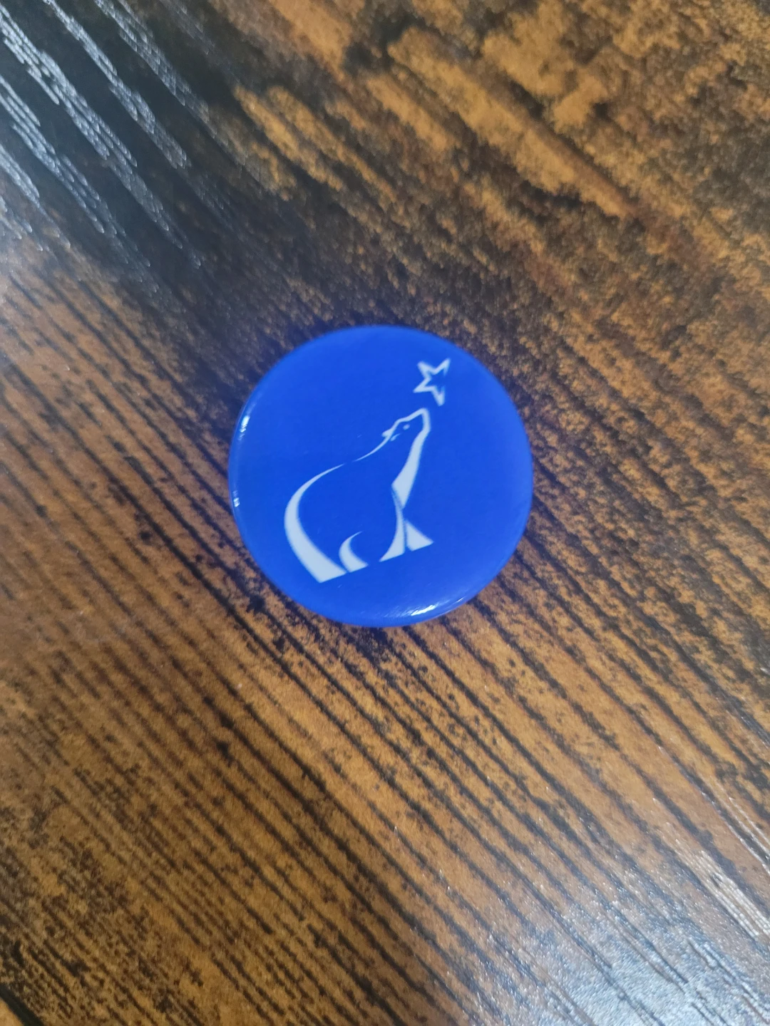 Blue Pin with Polar Bear and Star Design