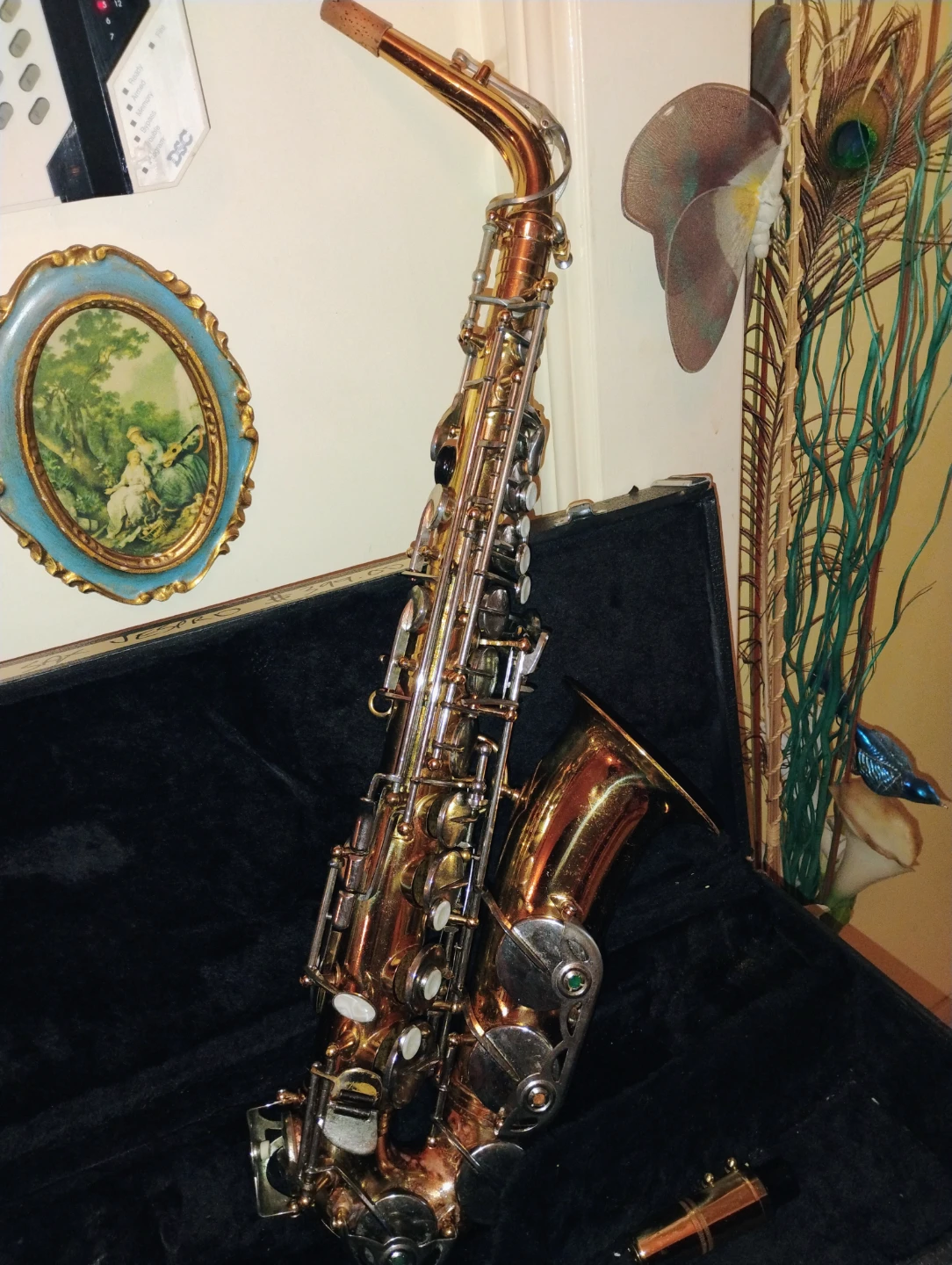 Alto Saxophones