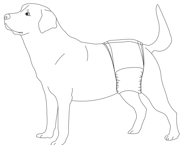 Amazon Basics Male Dog Diaper Wraps - Medium (30 Pack)