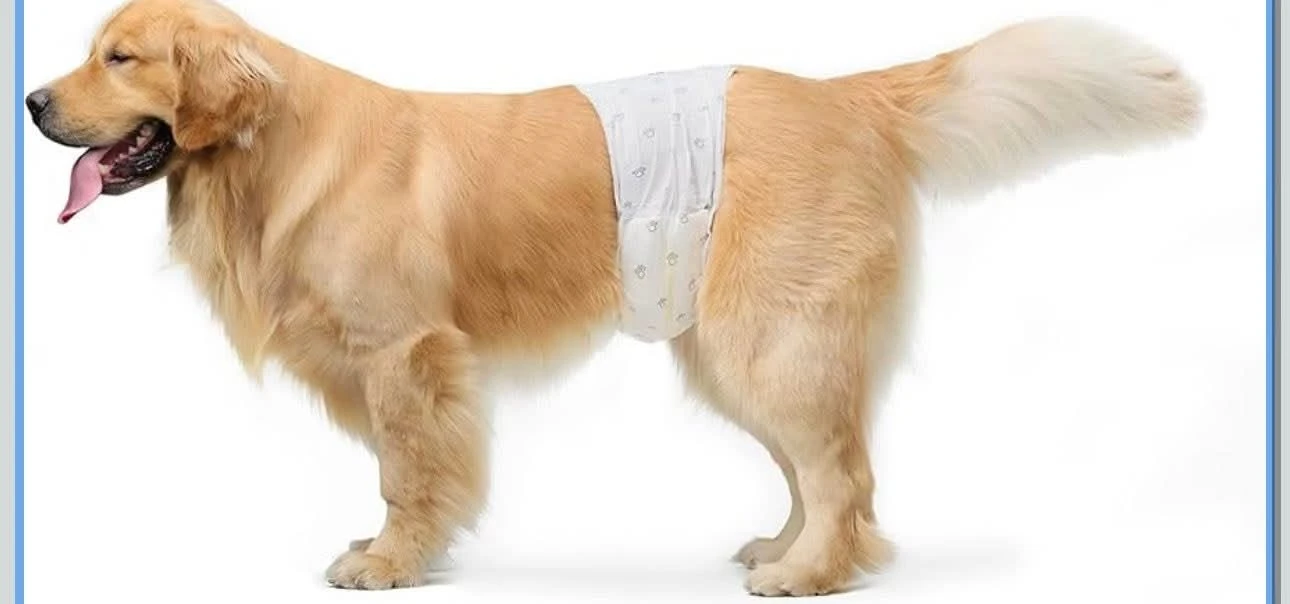 Amazon Basics Male Dog Diaper Wraps - Medium (30 Pack) - photo 3