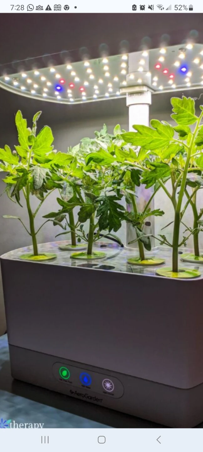 AeroGarden Indoor Garden with Grow Lights