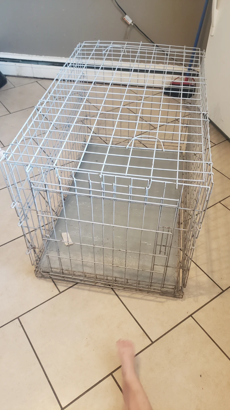 Wire Dog Crate