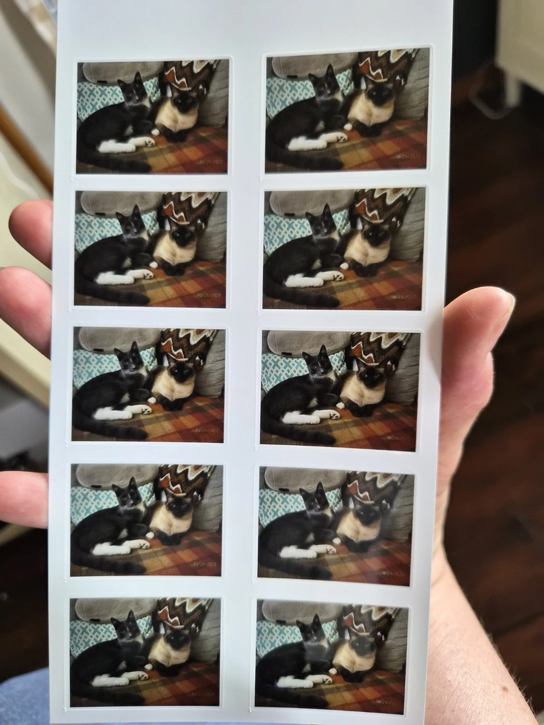 🐾❤️Custom Pet Photo Stickers ❤️🐾 - photo 5