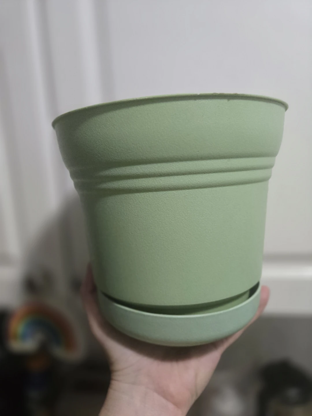 Light Green Plant Pot with Saucer