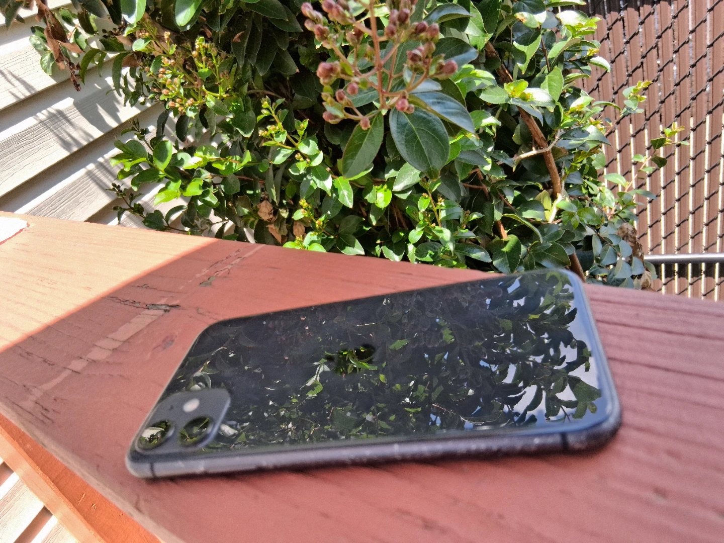 iPhone 11 Pro