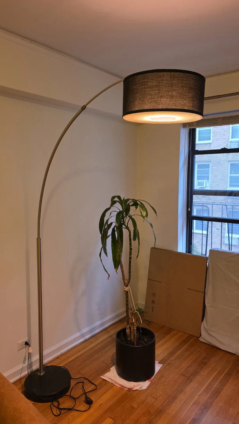 Arc Floor Lamp with Black Drum Shade