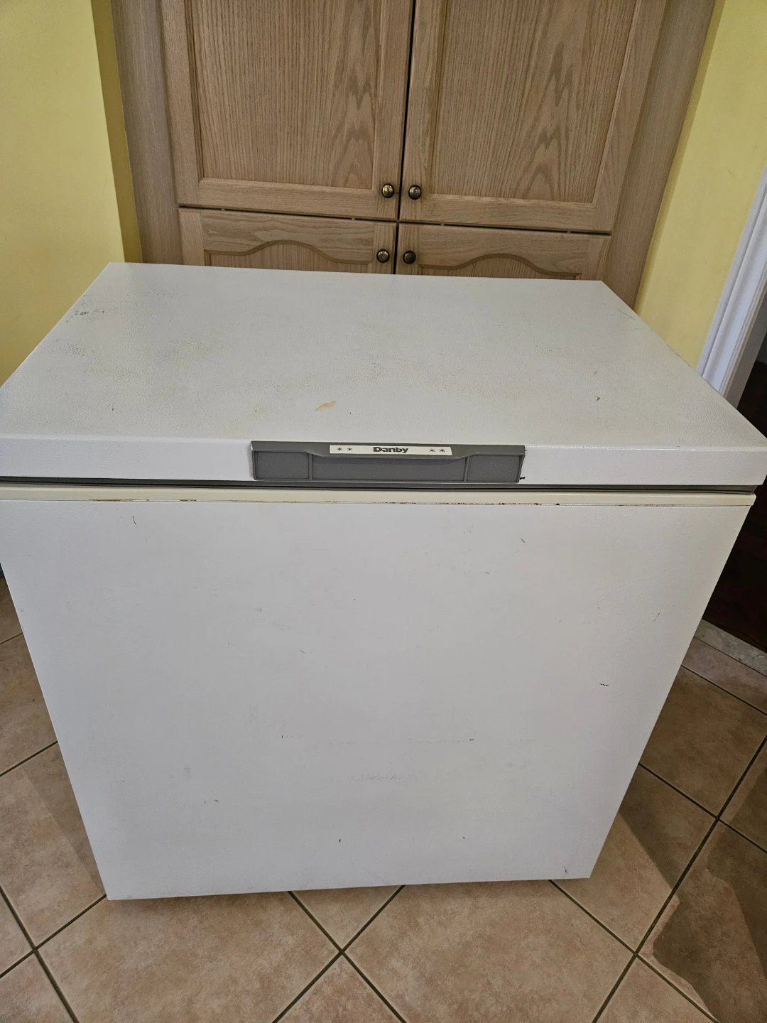 Danby Chest Freezer