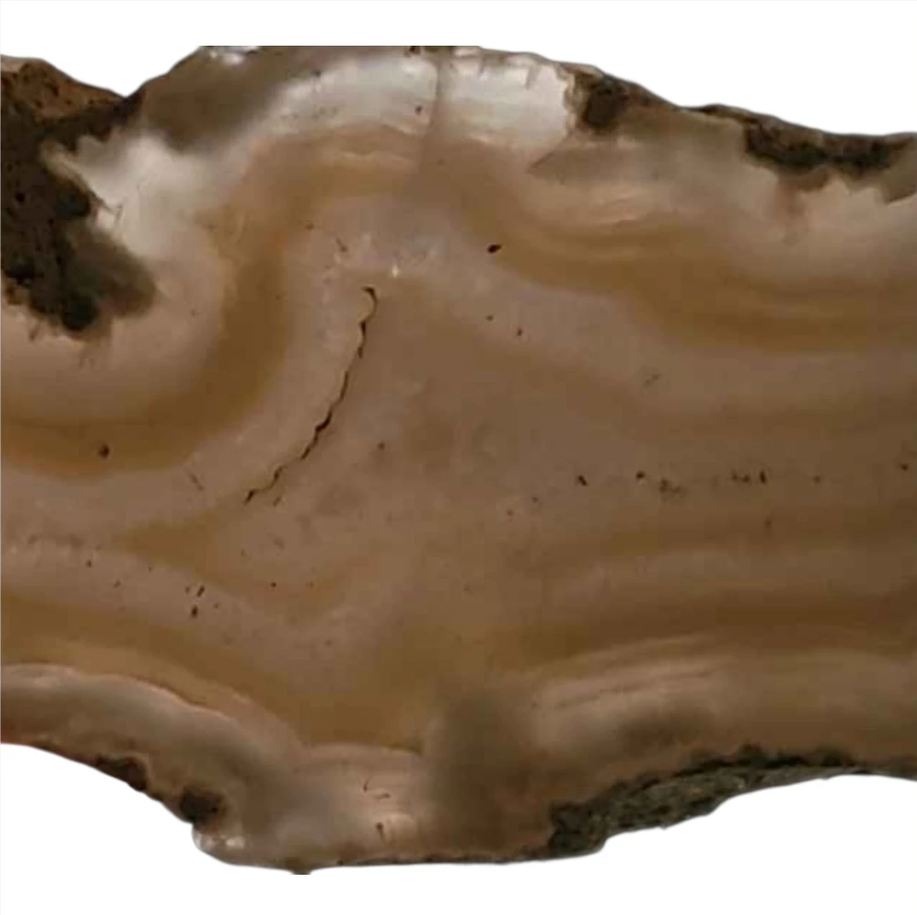 Natural Agate Slice 4" x 6" - photo 3
