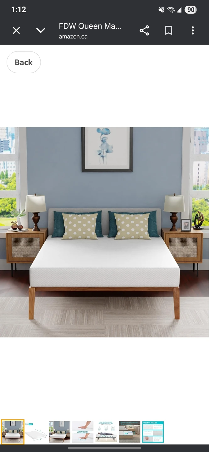 FDW Queen Mattress - photo 5