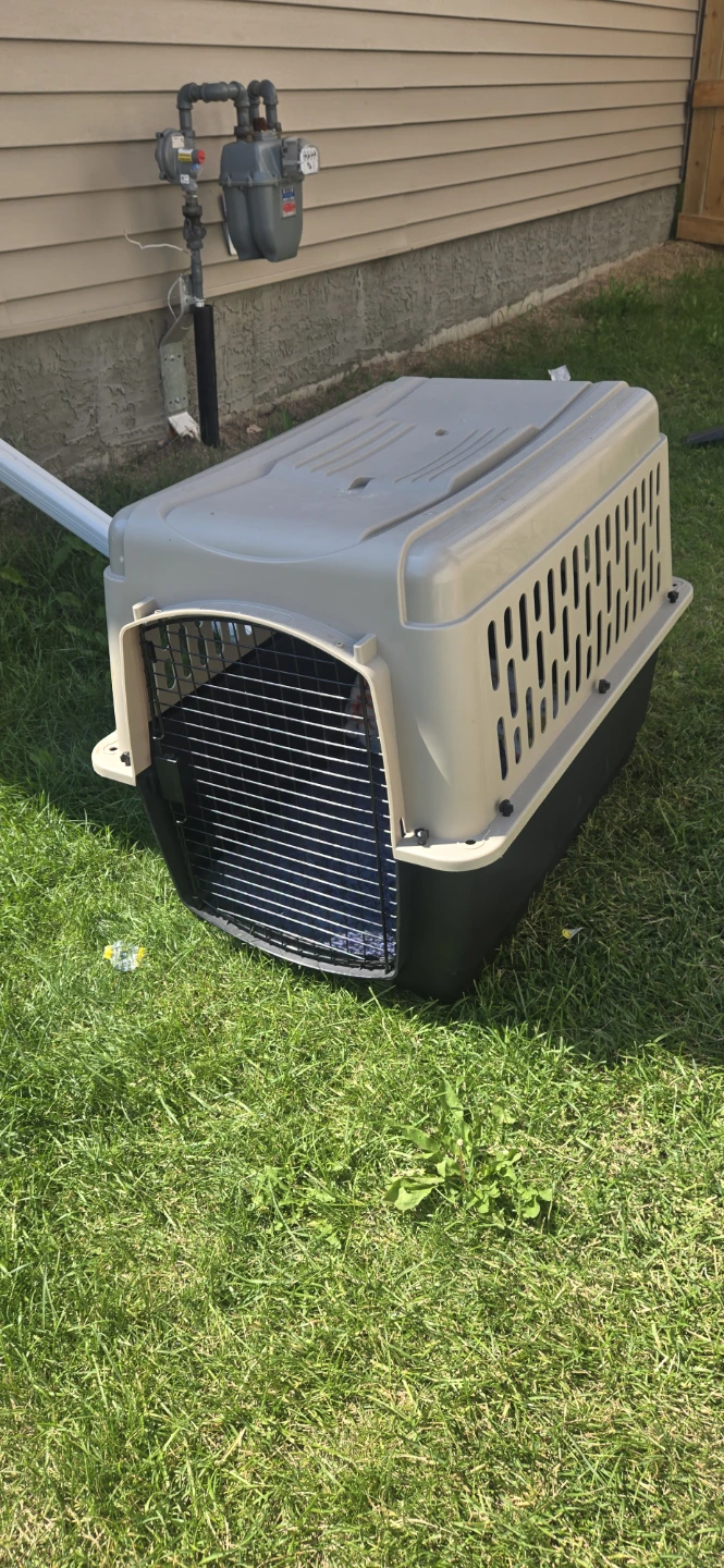 Medium sized dog crate
