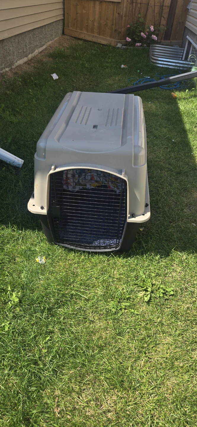 Medium sized dog crate - photo 2