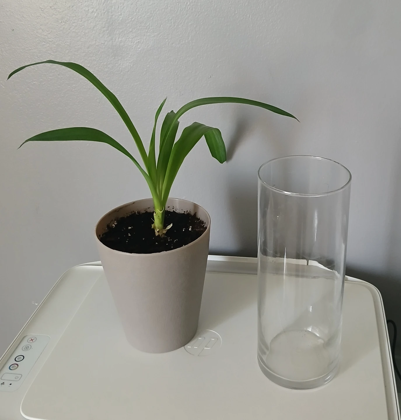 Glass vase