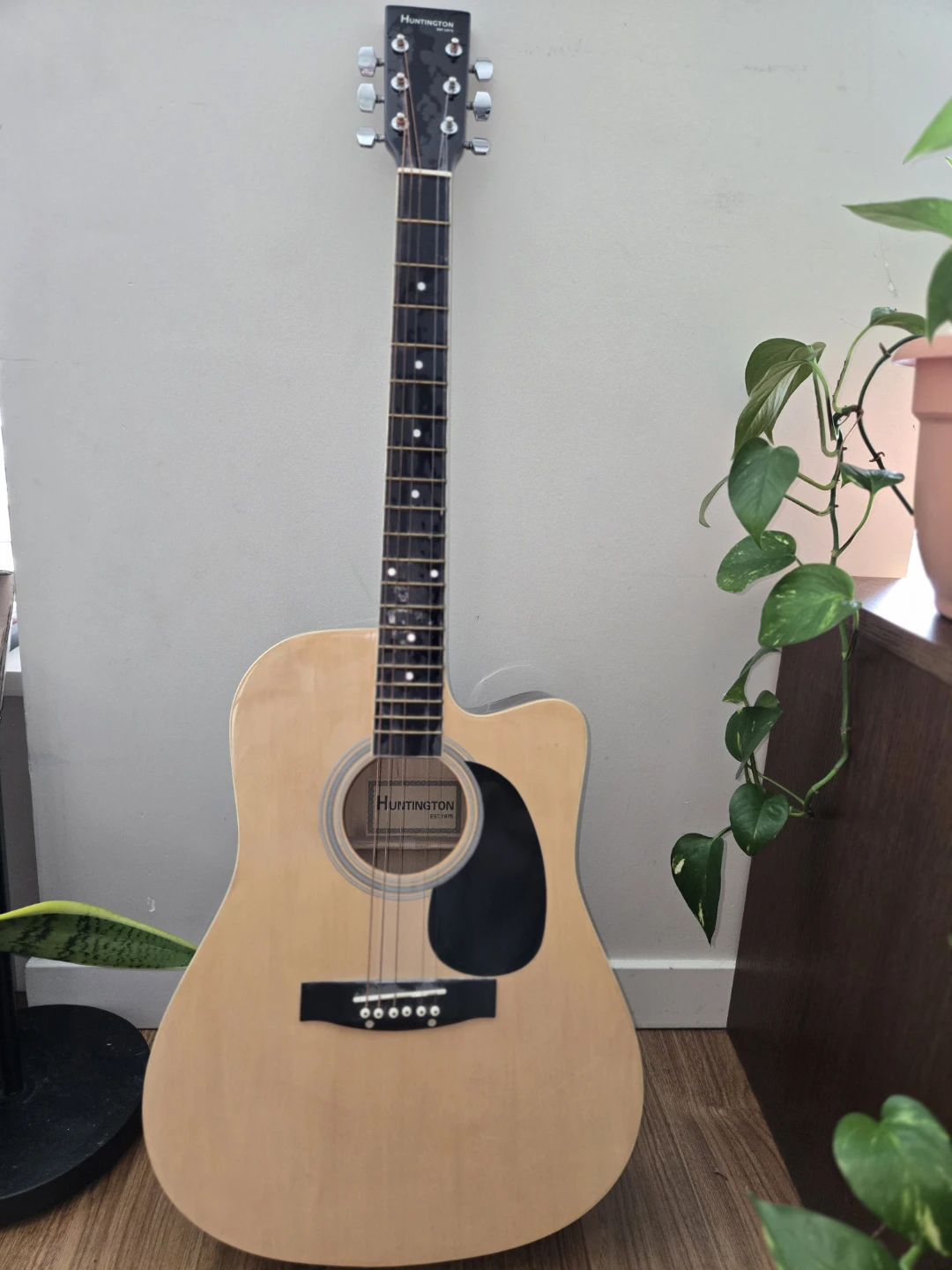 Huntington Acoustic Guitar