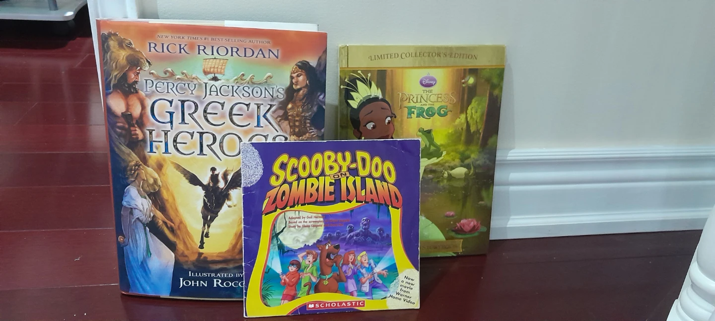 Fiction Books