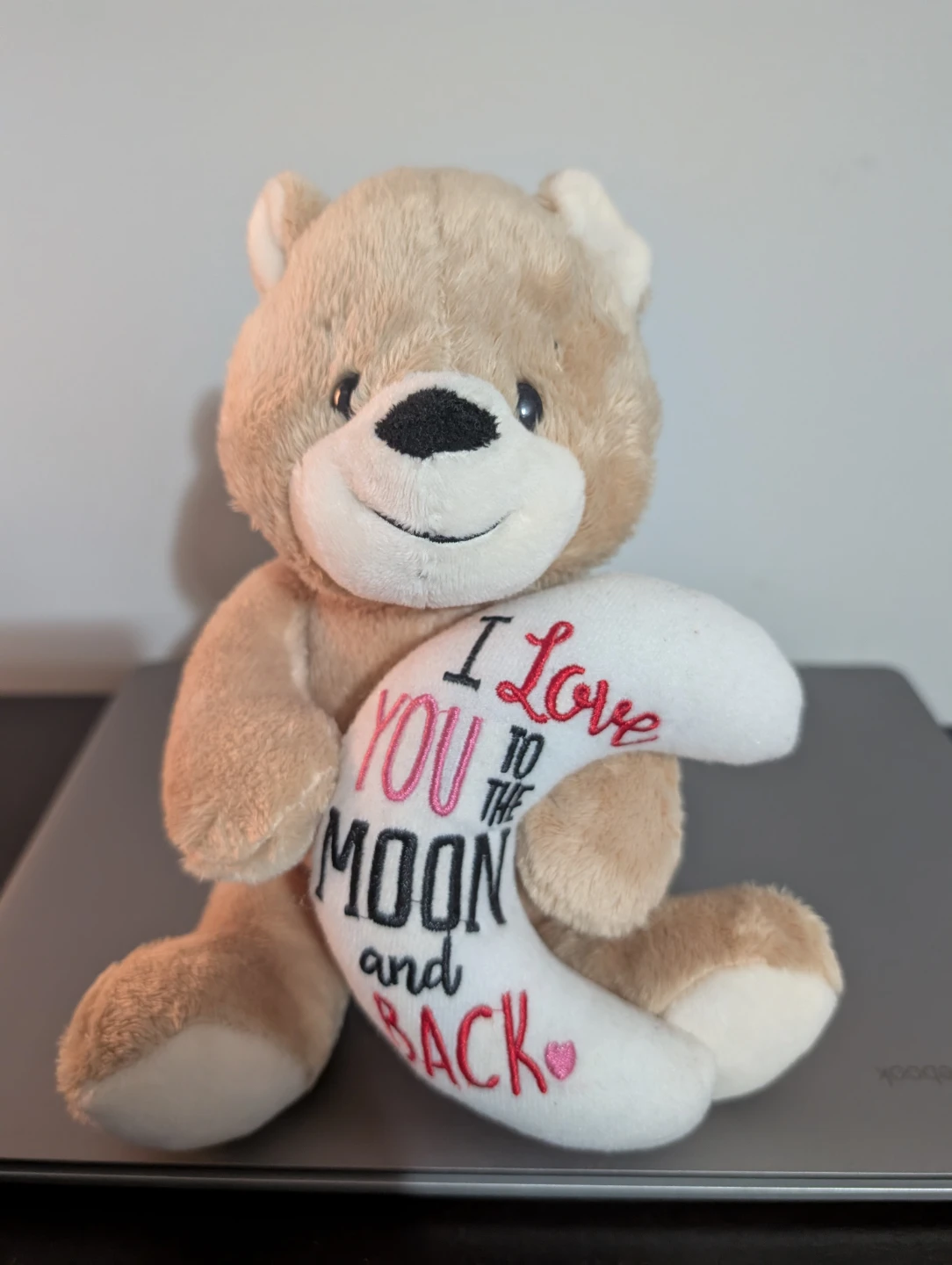 Teddy Bear with "I Love You to the Moon and Back" Pillow