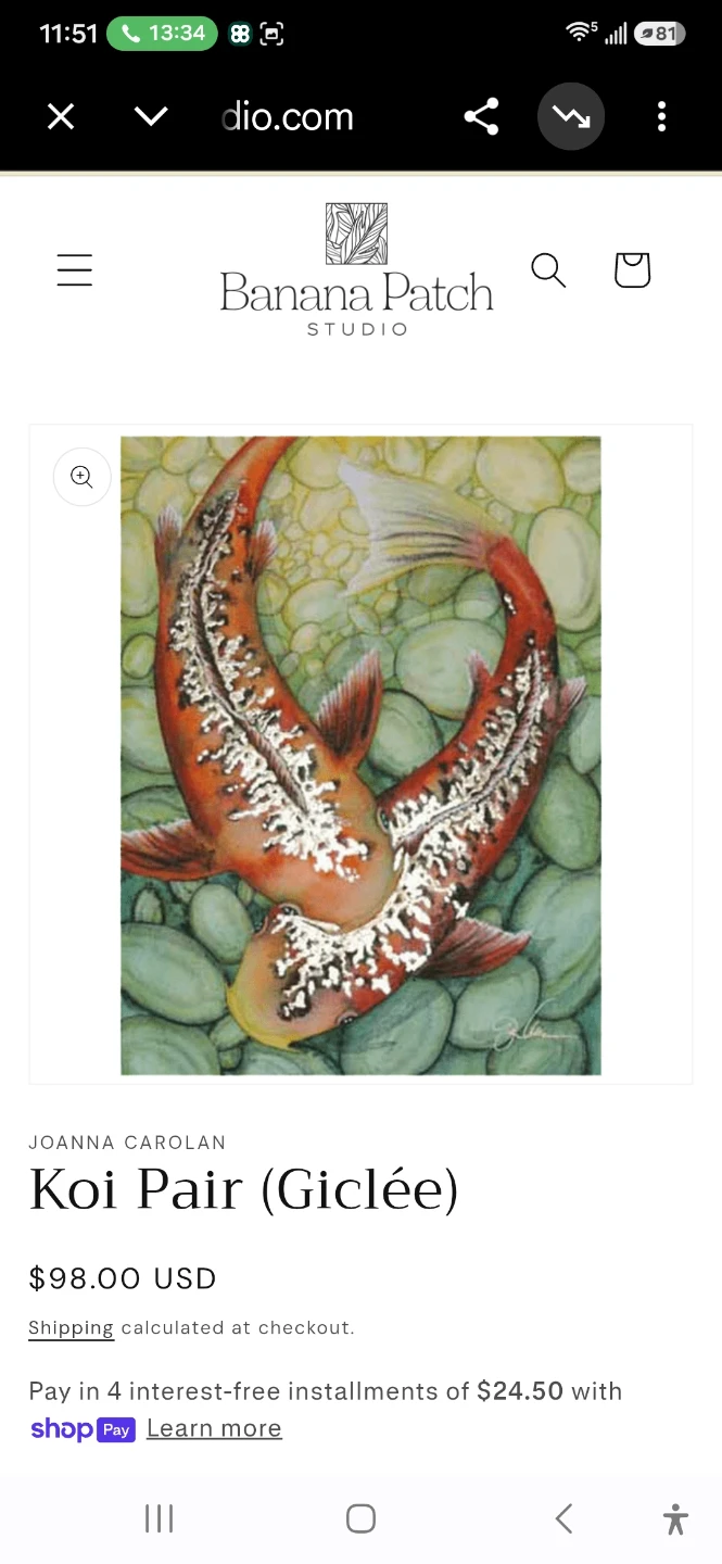 Koi Pair framed picture - photo 3