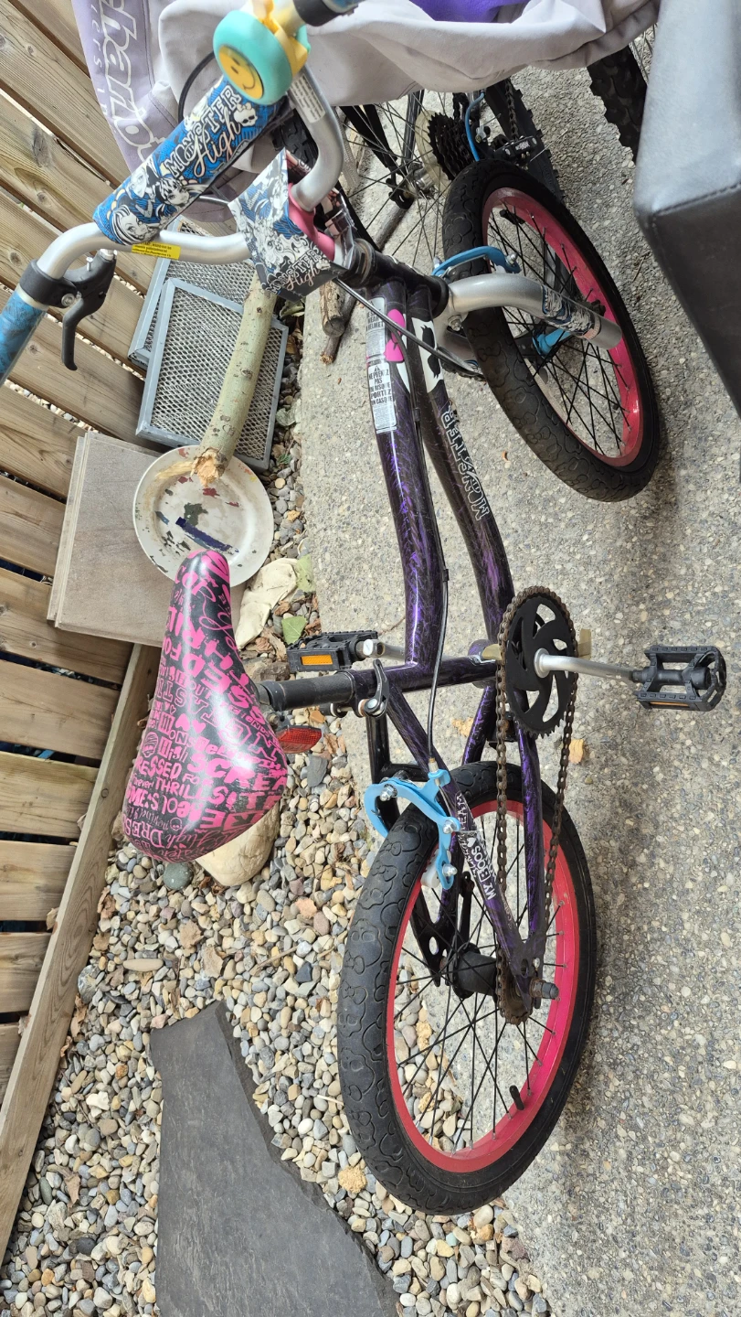 Monster High Kids Bike