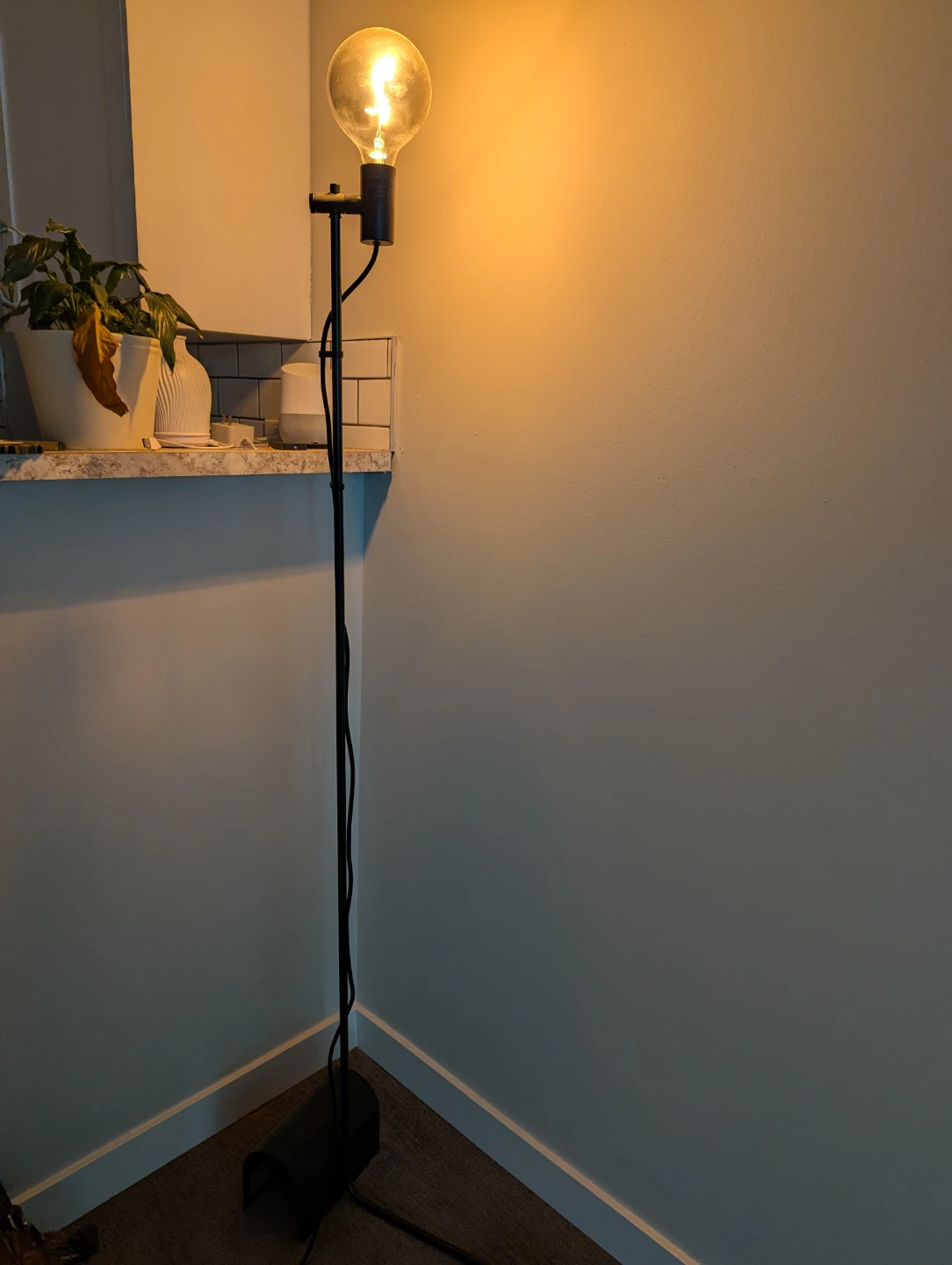 Black Floor Lamp with Edison Bulb