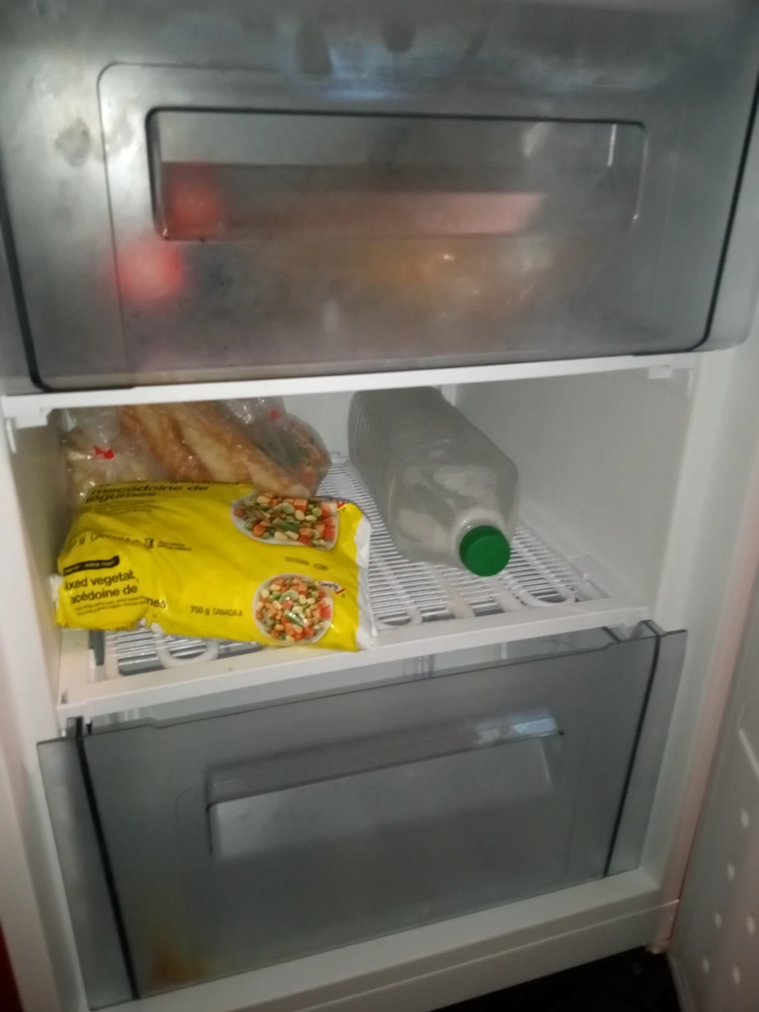 Galanz Retro 3.1 cubic ft Freezer - photo 2