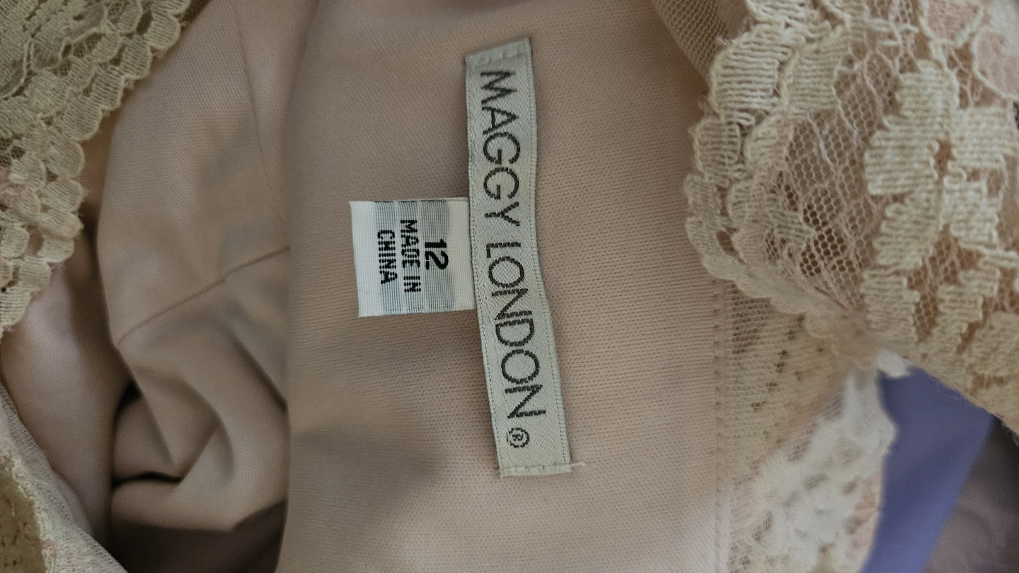Maggy London Pink Lace Dress Size 12
