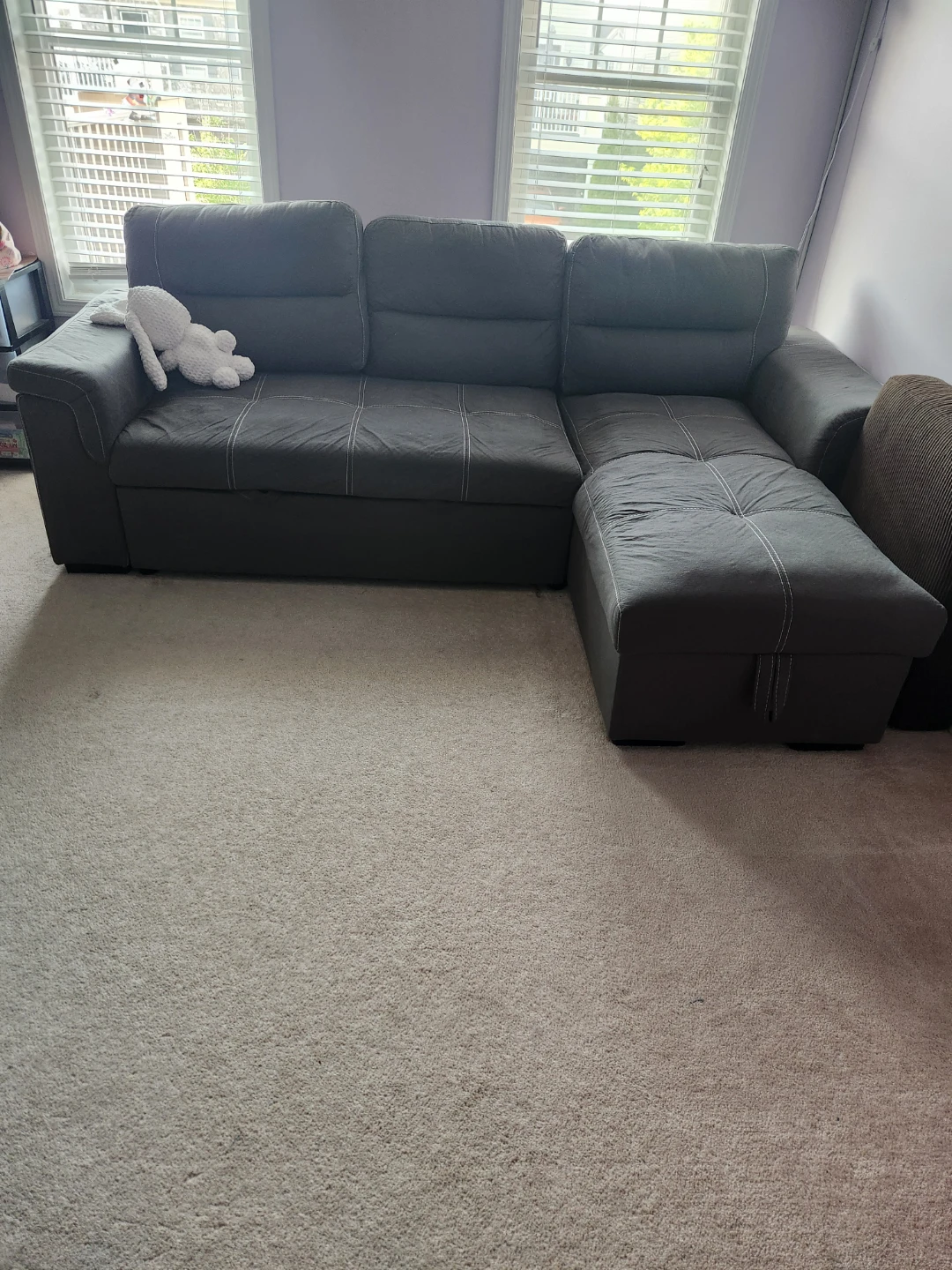 Grey Sectional sofa bed