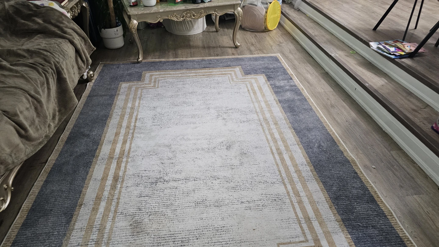 Area Rug - photo 2